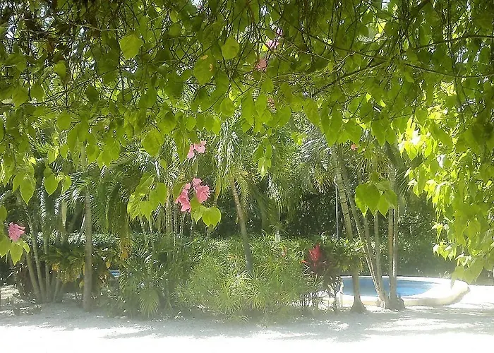 Aparthotel El Ramal